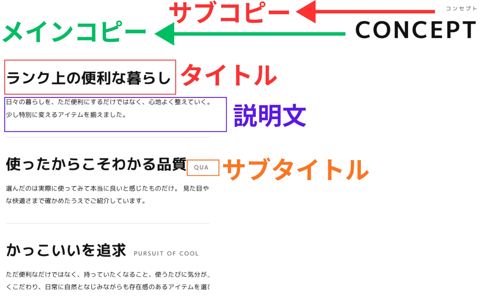 コンセプトセクション関連の設定イメージ